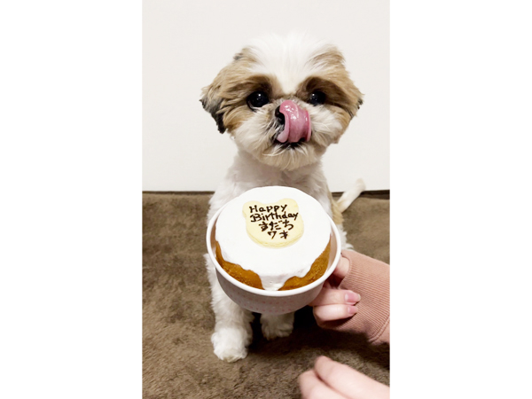 卒業犬のすだちちゃん♪
